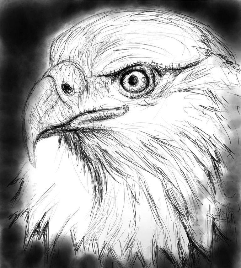 Screenshot_20230327-163745_Autodesk SketchBook.jpg