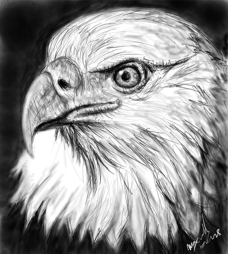 Screenshot_20230327-165404_Autodesk SketchBook.jpg