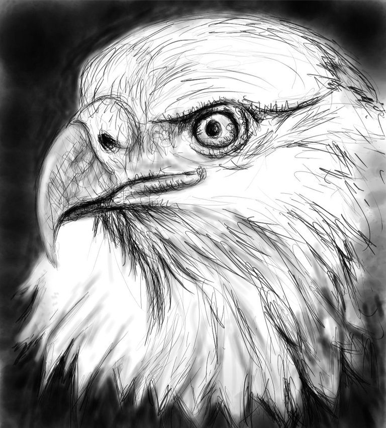 Screenshot_20230327-164545_Autodesk SketchBook.jpg