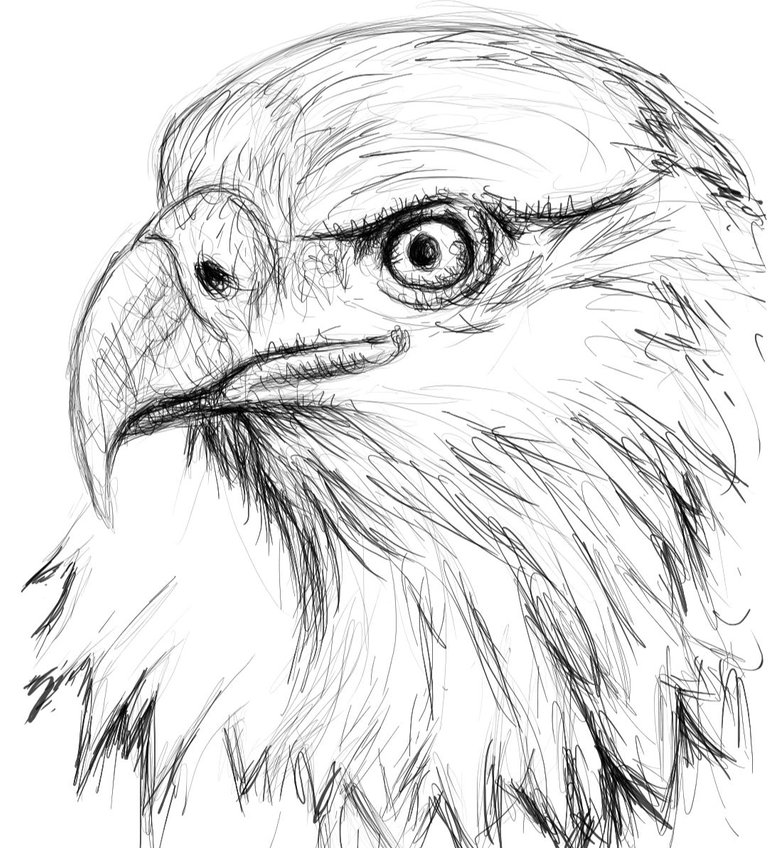 Screenshot_20230327-161354_Autodesk SketchBook.jpg