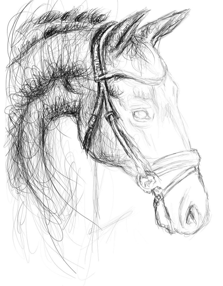 Screenshot_20220911-151037_Autodesk SketchBook.jpg