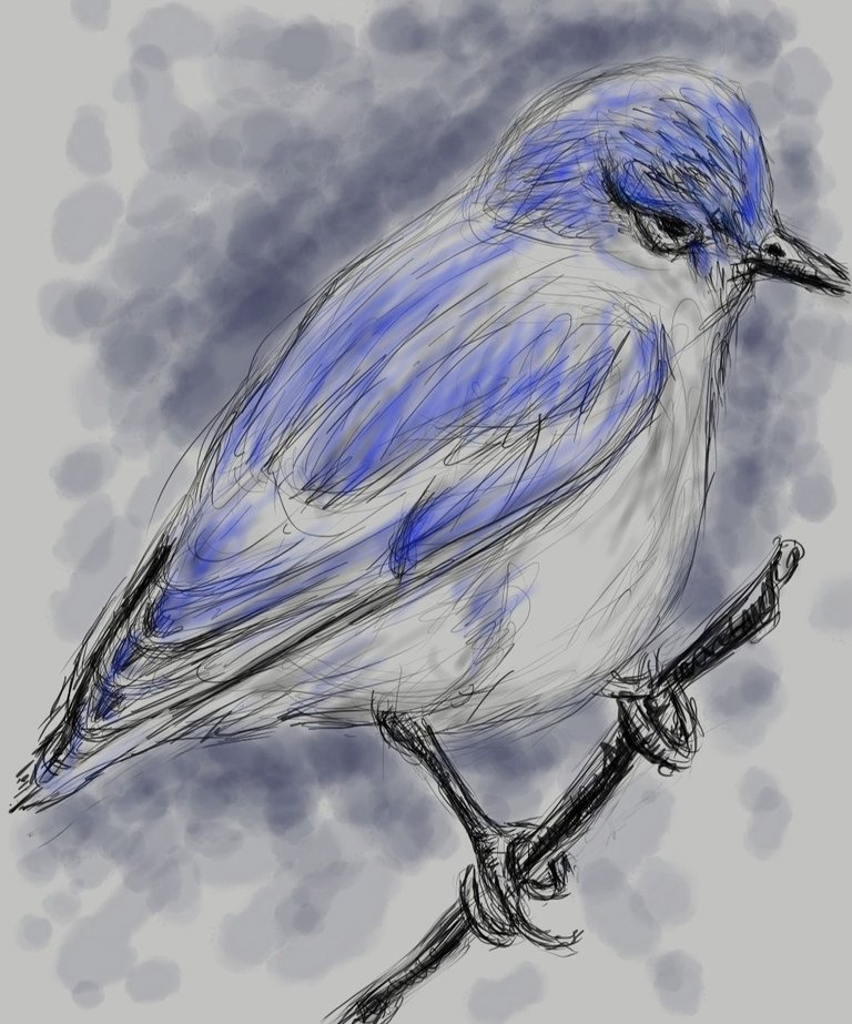 Screenshot_20230327-143729_Autodesk SketchBook.jpg