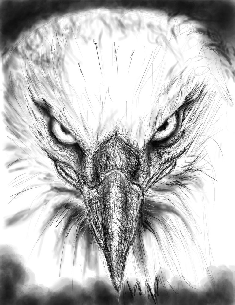 Screenshot_20221010-163612_Autodesk SketchBook.jpg