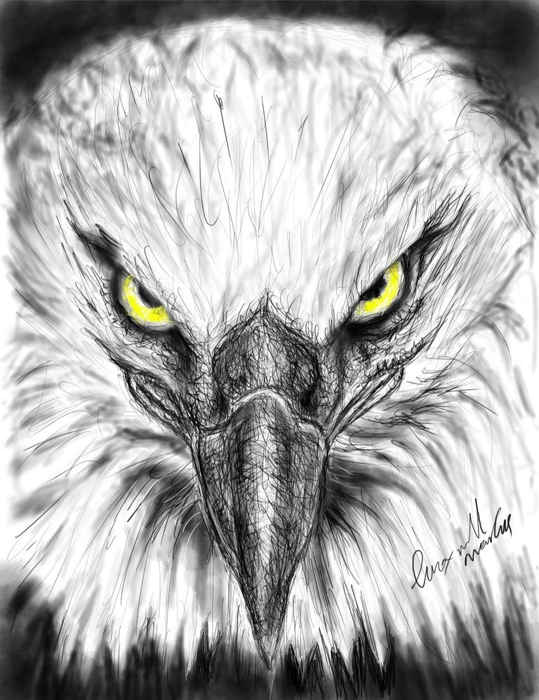Screenshot_20221010-165357_Autodesk SketchBook.jpg