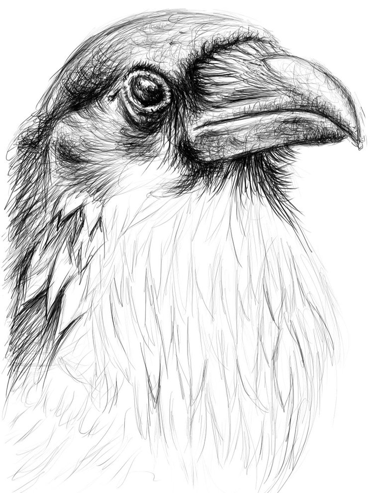 Screenshot_20220613-162350_Autodesk SketchBook.jpg