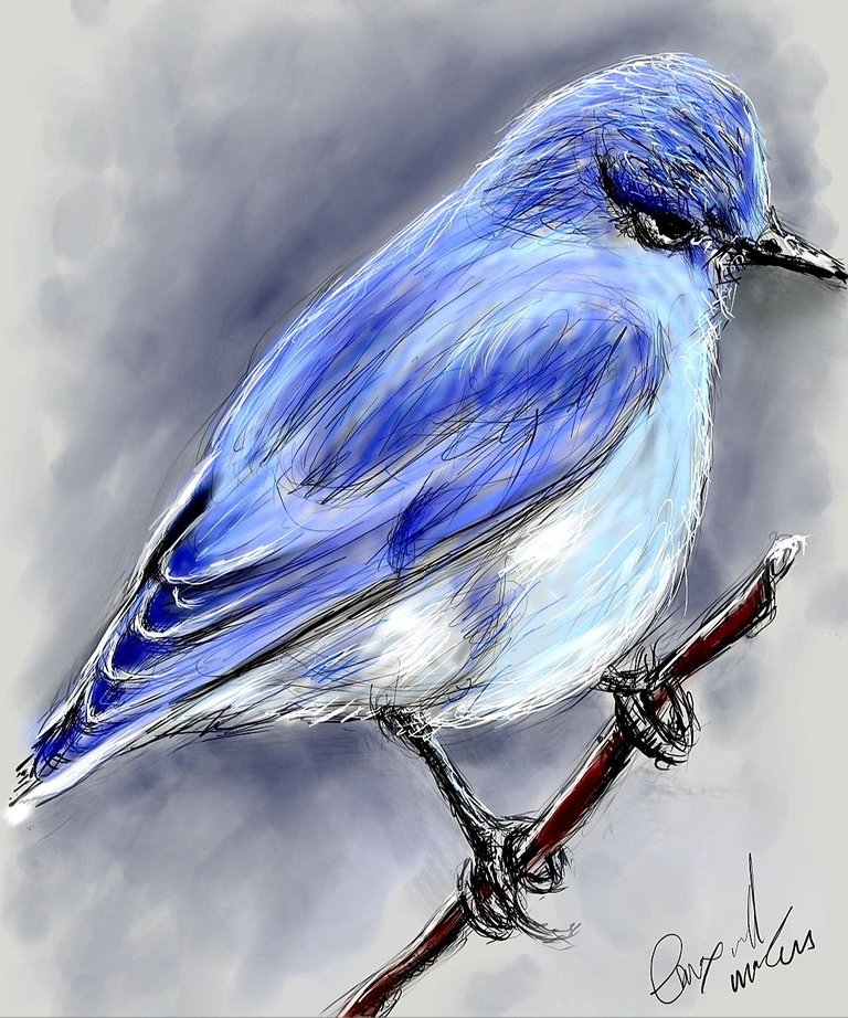 Screenshot_20230327-150333_Autodesk SketchBook.jpg