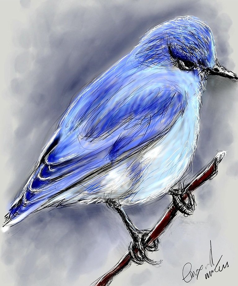 Screenshot_20230327-150206_Autodesk SketchBook.jpg