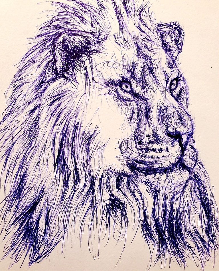Lion Art Lion Drawing African Animal Pen and Ink Original - Etsy