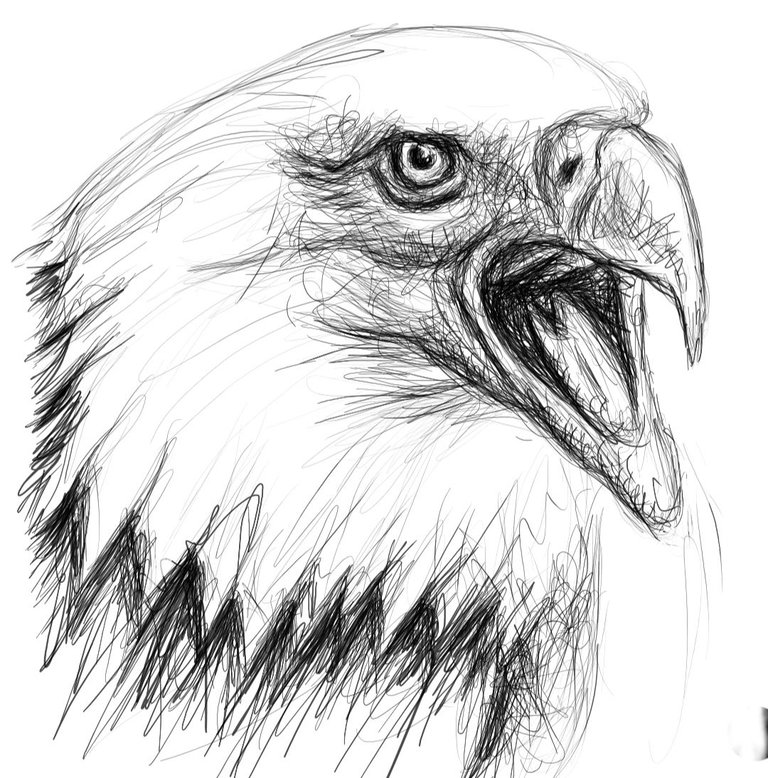 Screenshot_20240916-184220_Autodesk SketchBook.jpg