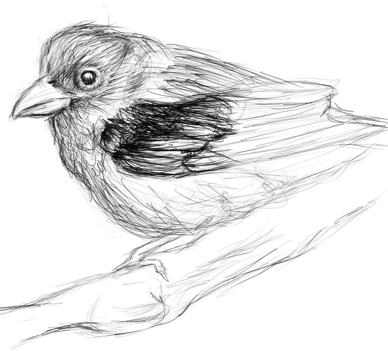 Screenshot_20230317-164402_Autodesk SketchBook.jpg
