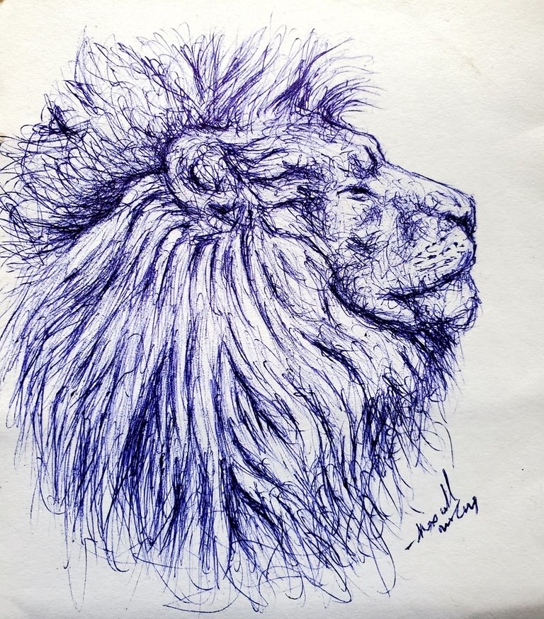 Roar - Drawing A Lion | PeakD