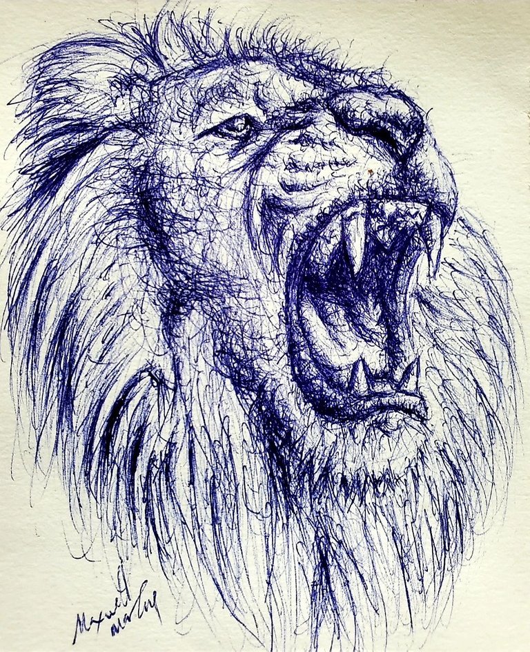 Lion Drawing by Randall Moss - Pixels