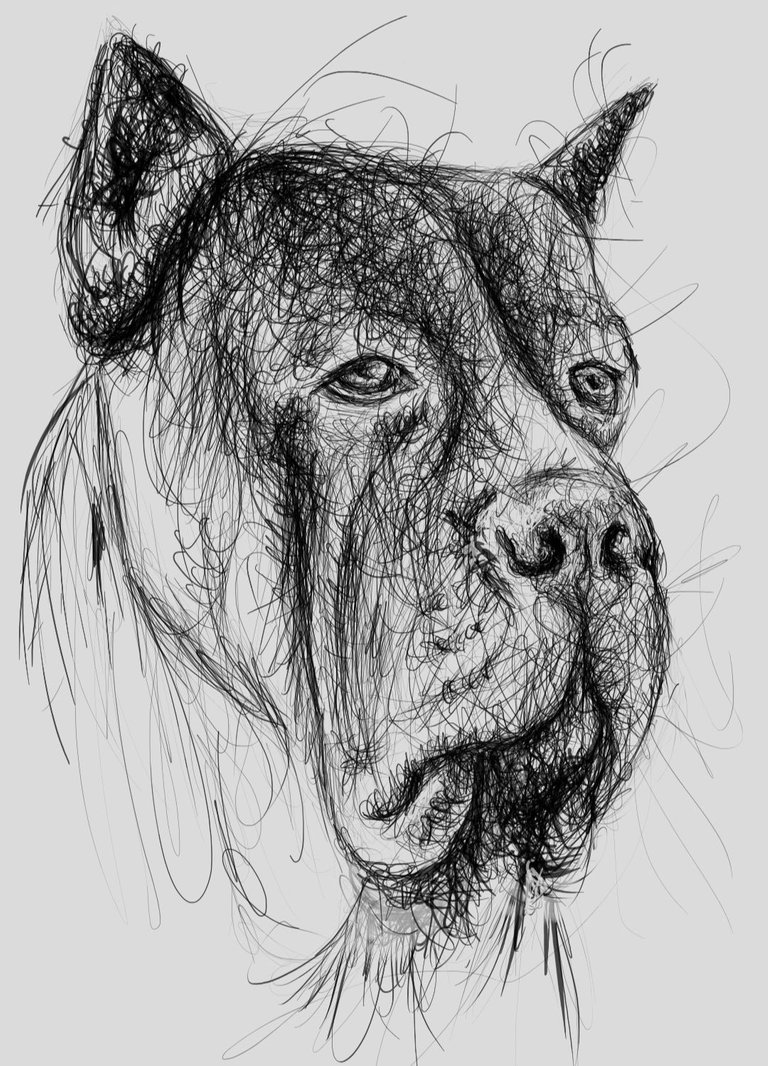 Screenshot_20221026-175700_Autodesk SketchBook.jpg