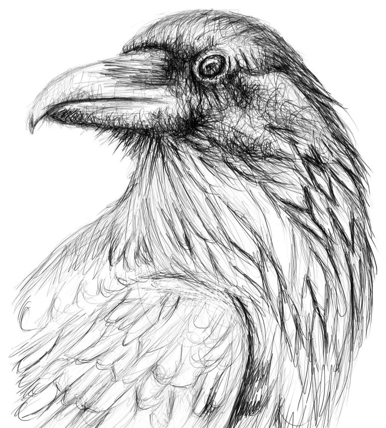 Screenshot_20221114-150907_Autodesk SketchBook.jpg