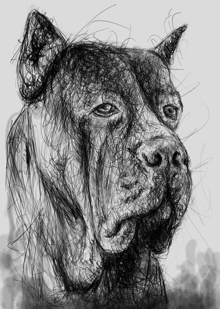 Screenshot_20221026-180542_Autodesk SketchBook.jpg