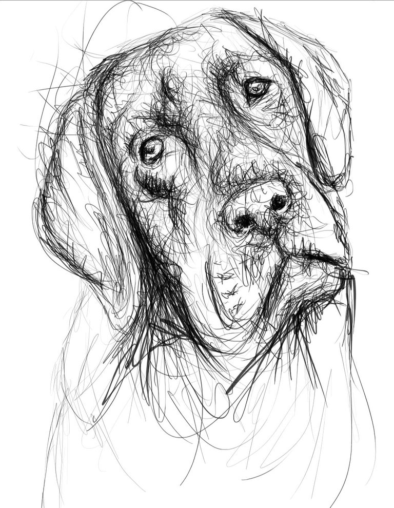 Screenshot_20230717-162431_Autodesk SketchBook.jpg