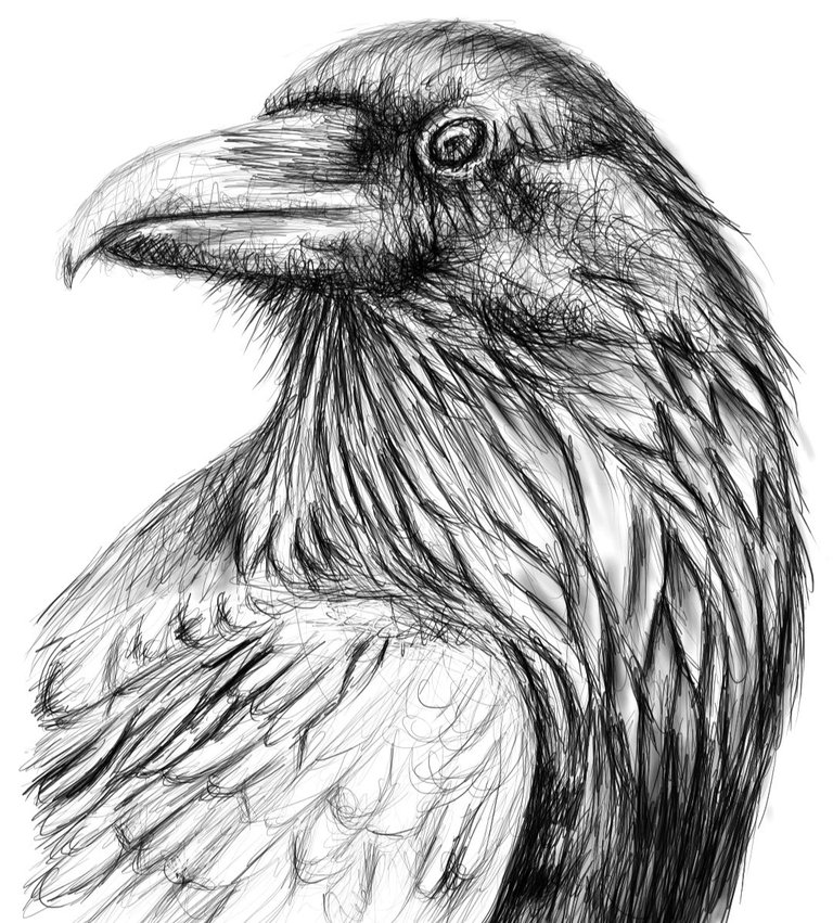 Screenshot_20221114-152641_Autodesk SketchBook.jpg
