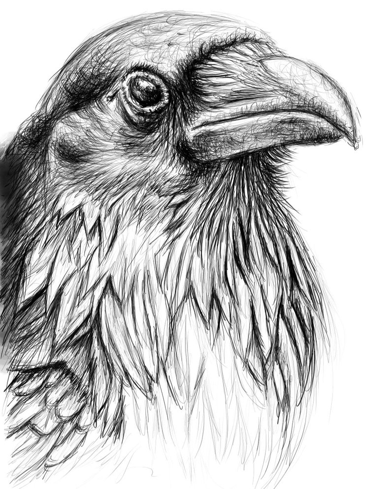 Screenshot_20220613-165141_Autodesk SketchBook.jpg