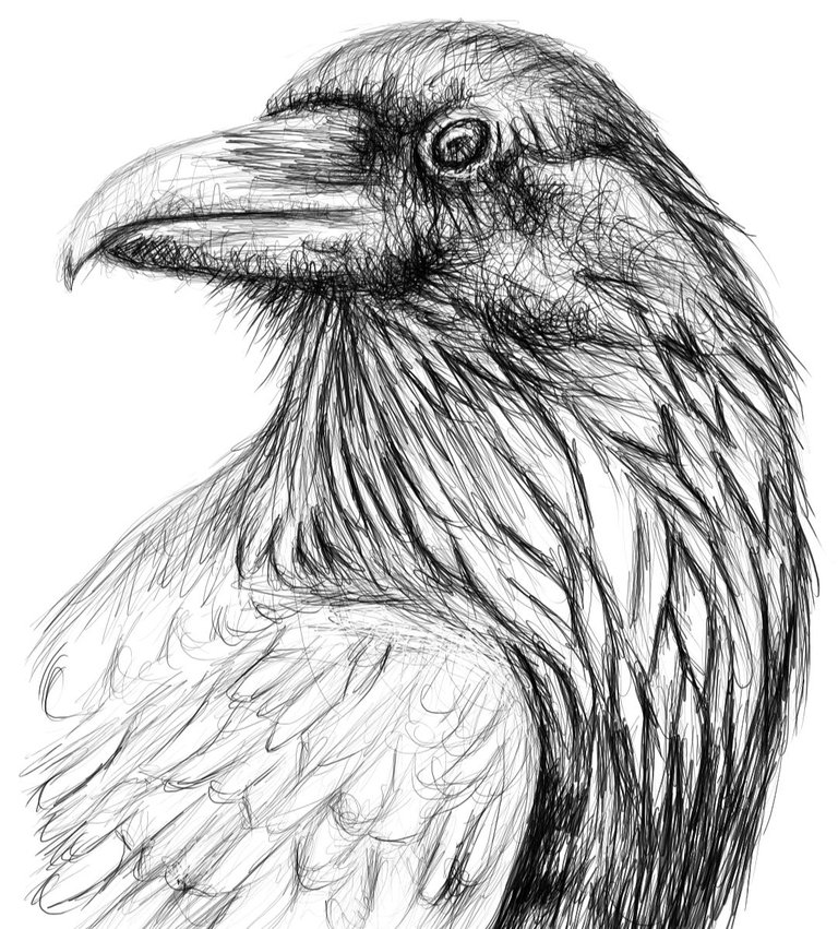 Screenshot_20221114-151603_Autodesk SketchBook.jpg