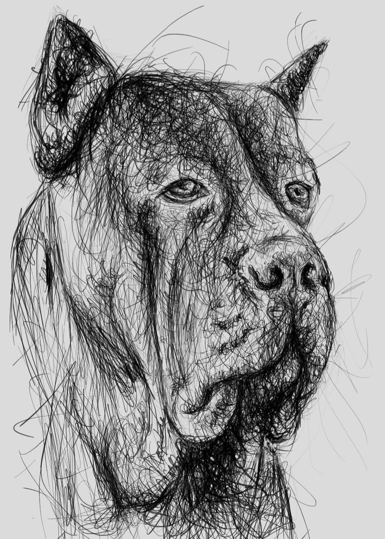 Screenshot_20221026-180233_Autodesk SketchBook.jpg