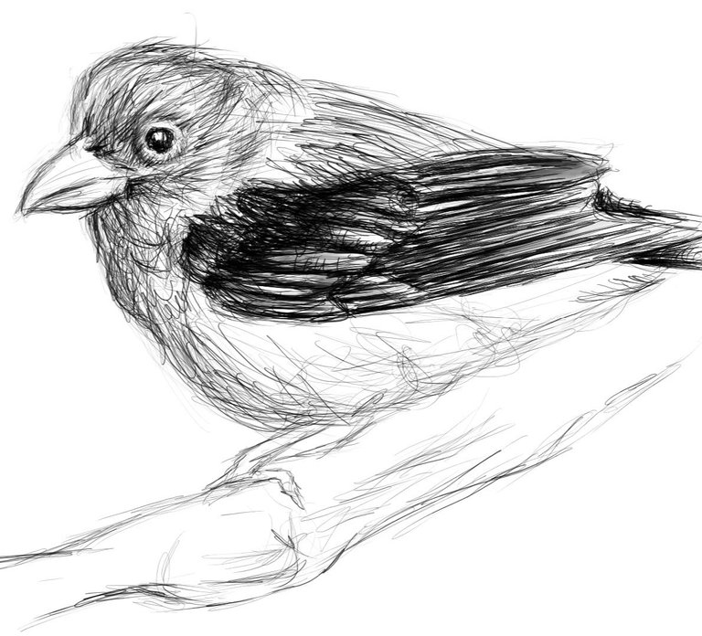 Screenshot_20230317-165334_Autodesk SketchBook.jpg
