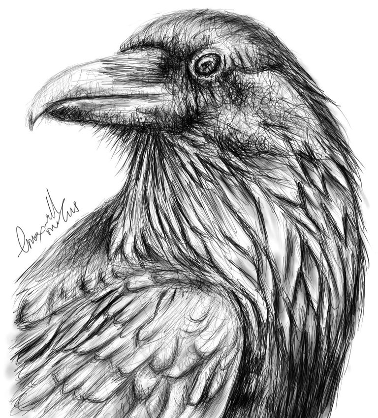 Screenshot_20221114-153720_Autodesk SketchBook.jpg