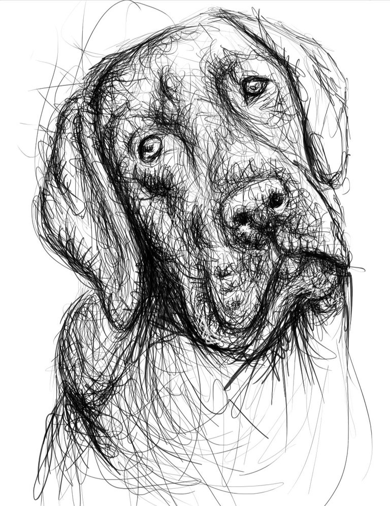 Screenshot_20230717-163125_Autodesk SketchBook.jpg