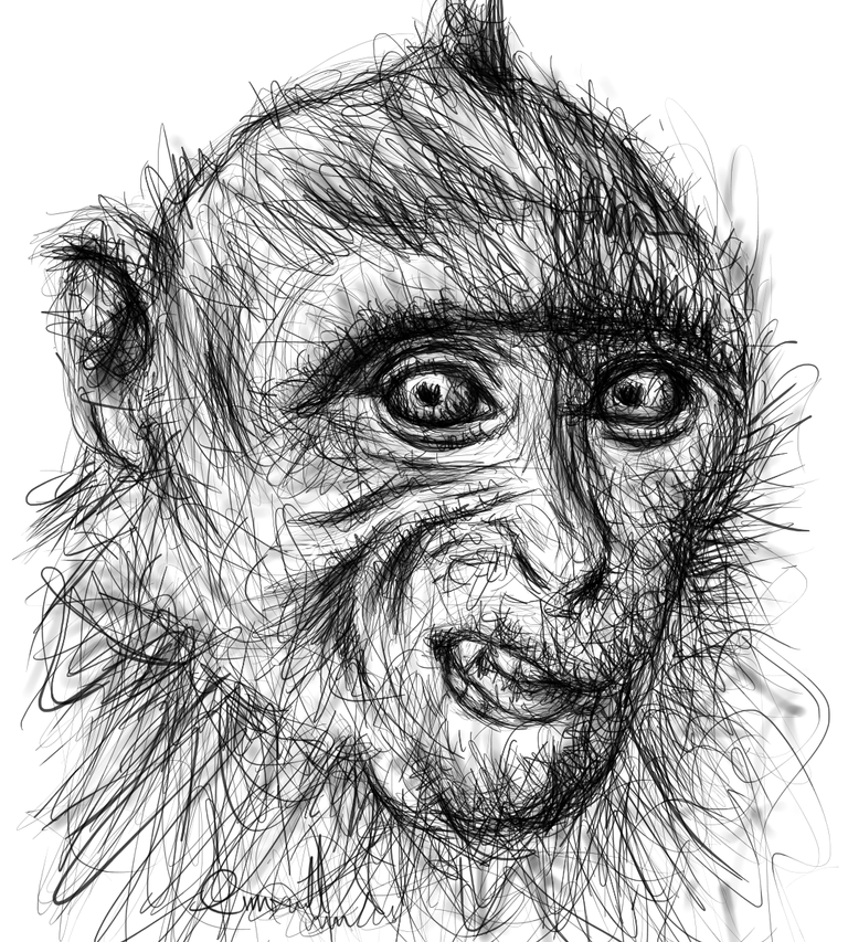4023294e-44c9-423f-b067-8dfd02e04b07.png