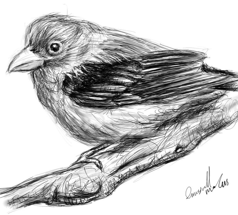 Screenshot_20230317-170914_Autodesk SketchBook.jpg