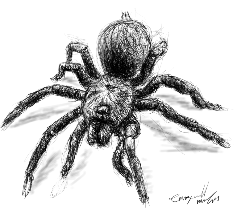 Day 2: Spiders- Ink drawing and Tattoo design! : r/Inktober