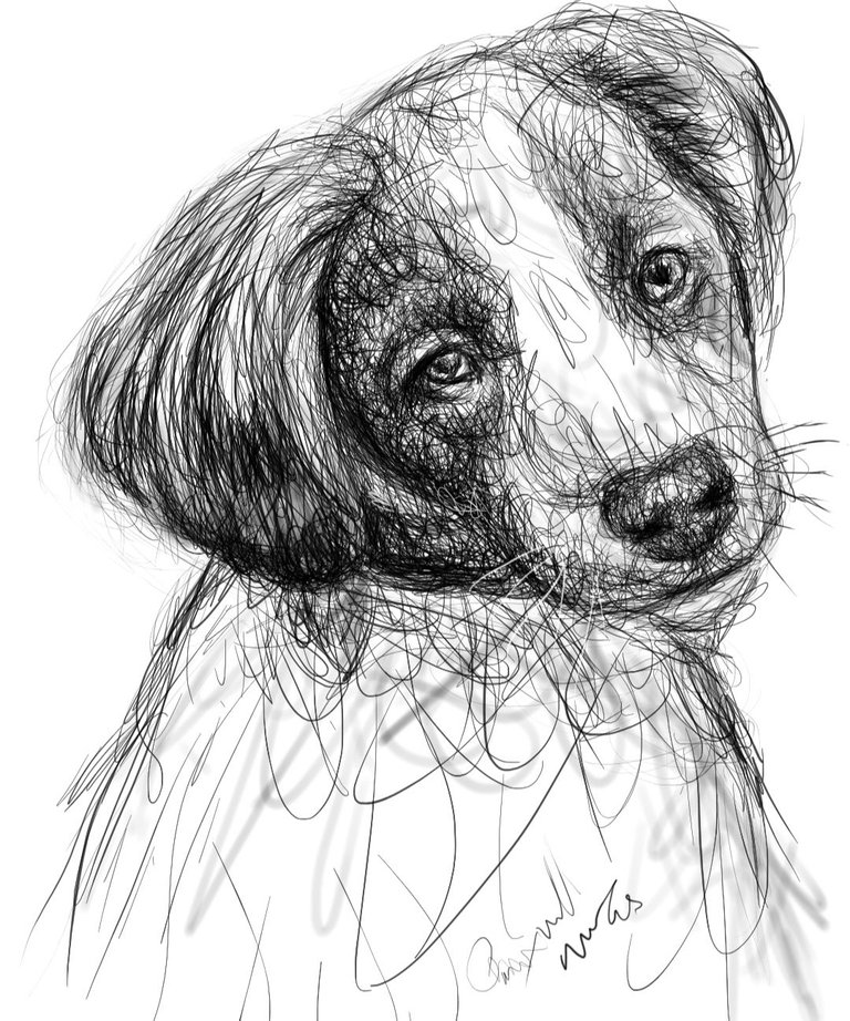 Screenshot_20240805-172830_Autodesk SketchBook.jpg