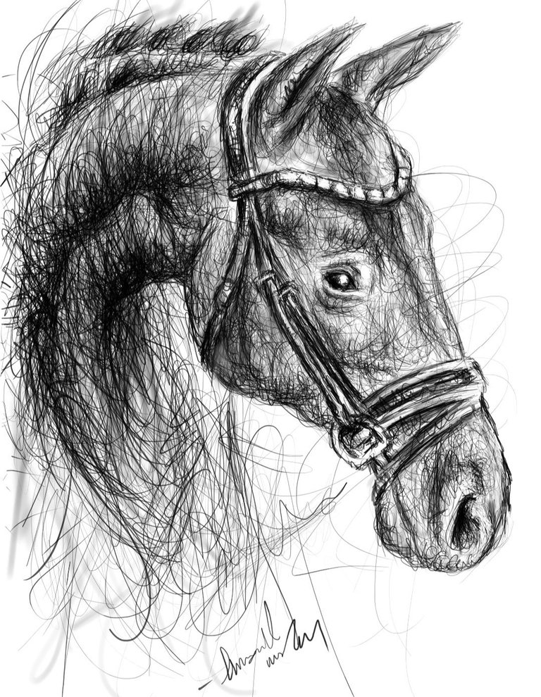Screenshot_20220911-160357_Autodesk SketchBook.jpg