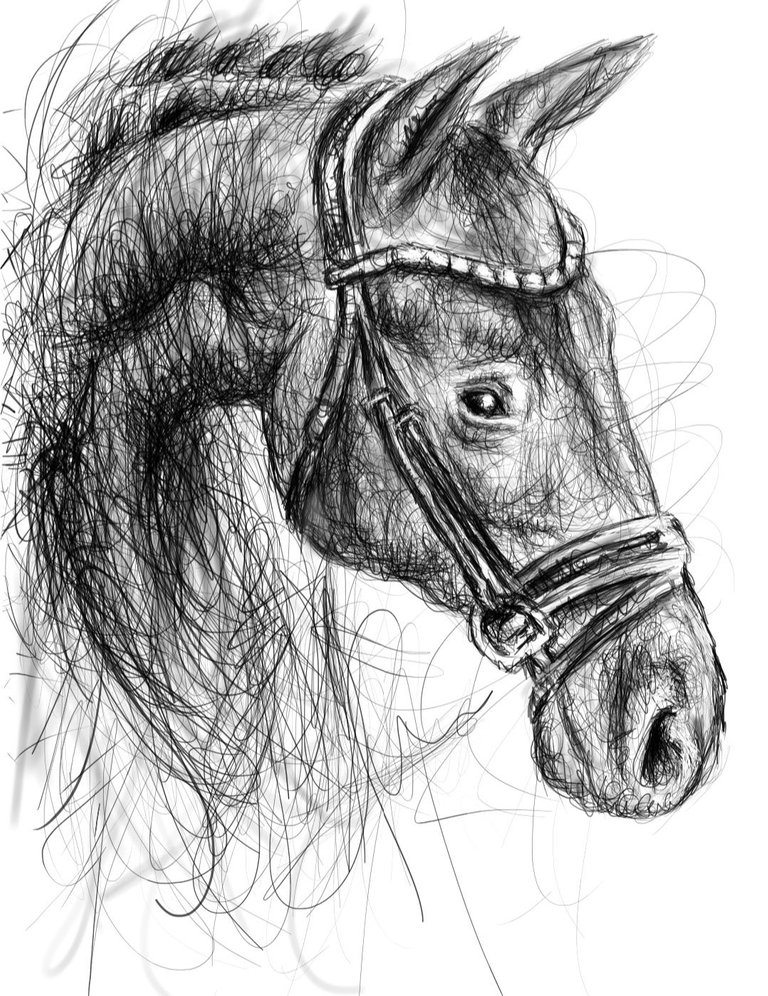 Screenshot_20220911-155742_Autodesk SketchBook.jpg