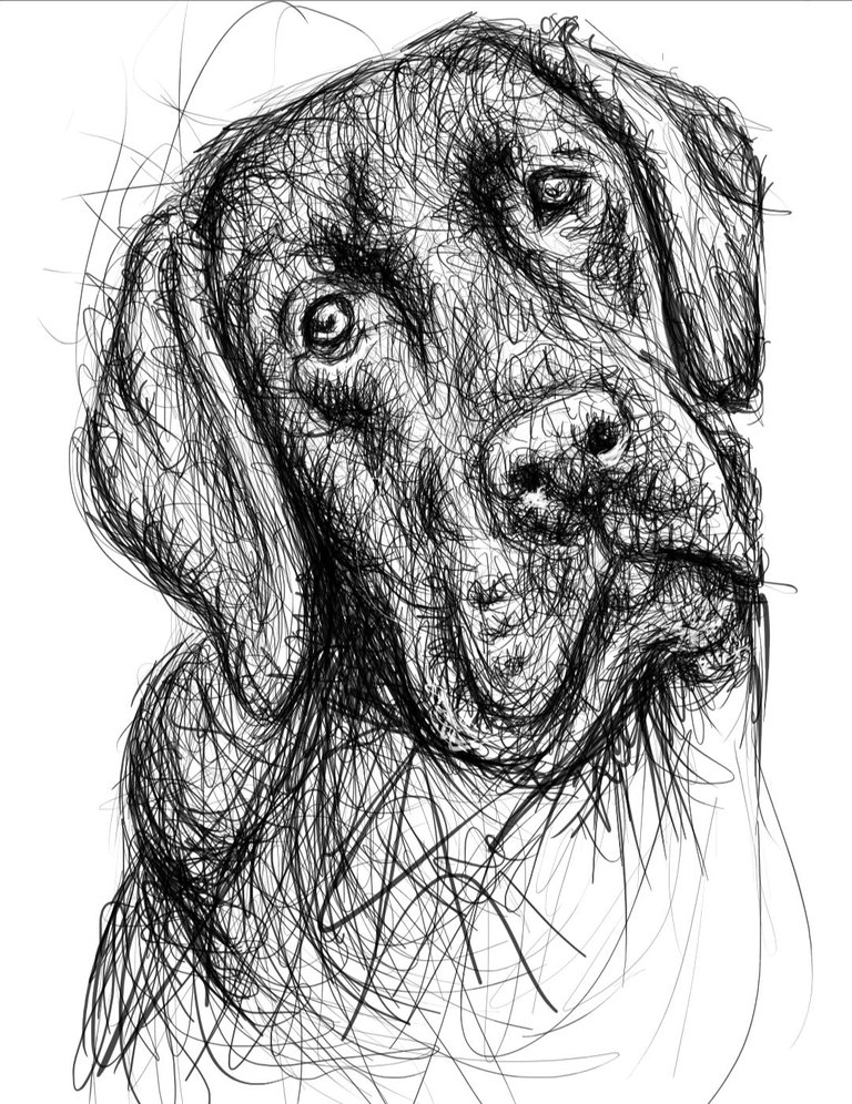 Screenshot_20230717-163657_Autodesk SketchBook.jpg