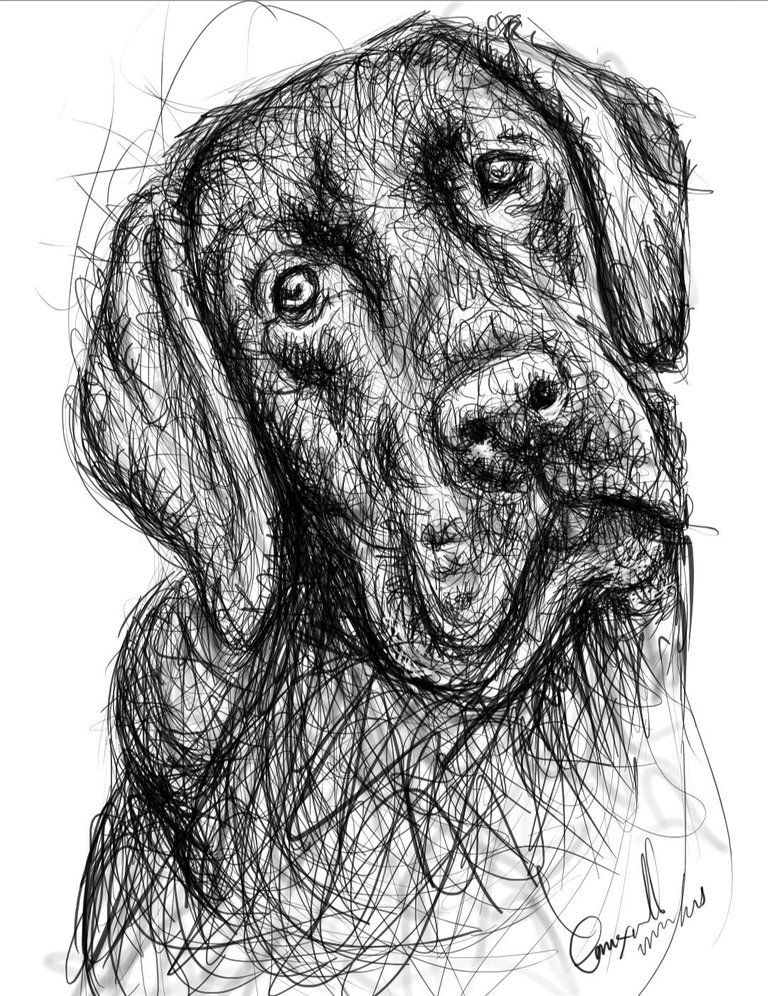 Screenshot_20230717-163930_Autodesk SketchBook.jpg