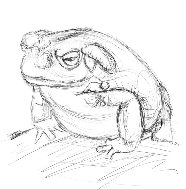 Screenshot_20231008-122322_Autodesk SketchBook.jpg