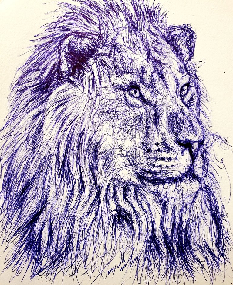 an intricate pencil sketch a digital painting of aa lion with its mouth  open