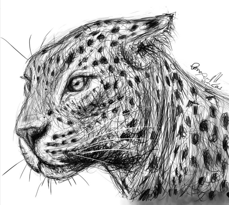 Screenshot_20230225-161137_Autodesk SketchBook.jpg