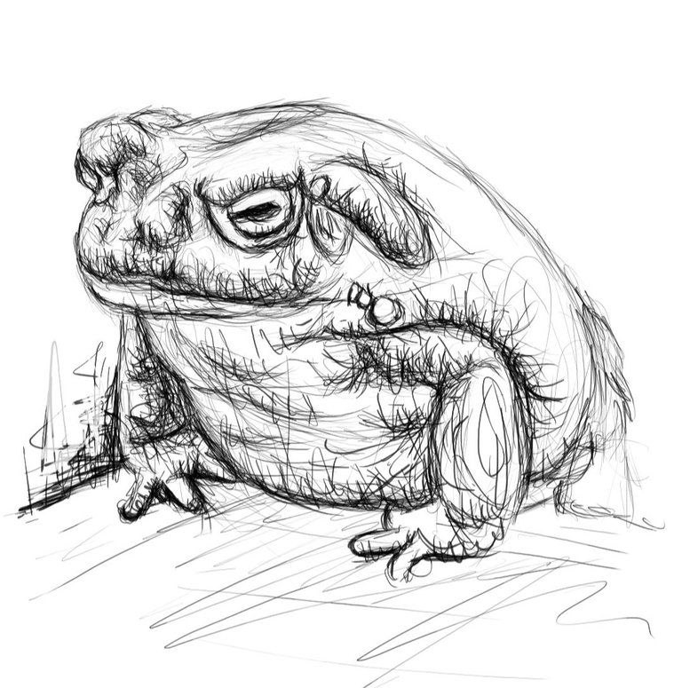 Screenshot_20231008-124032_Autodesk SketchBook.jpg