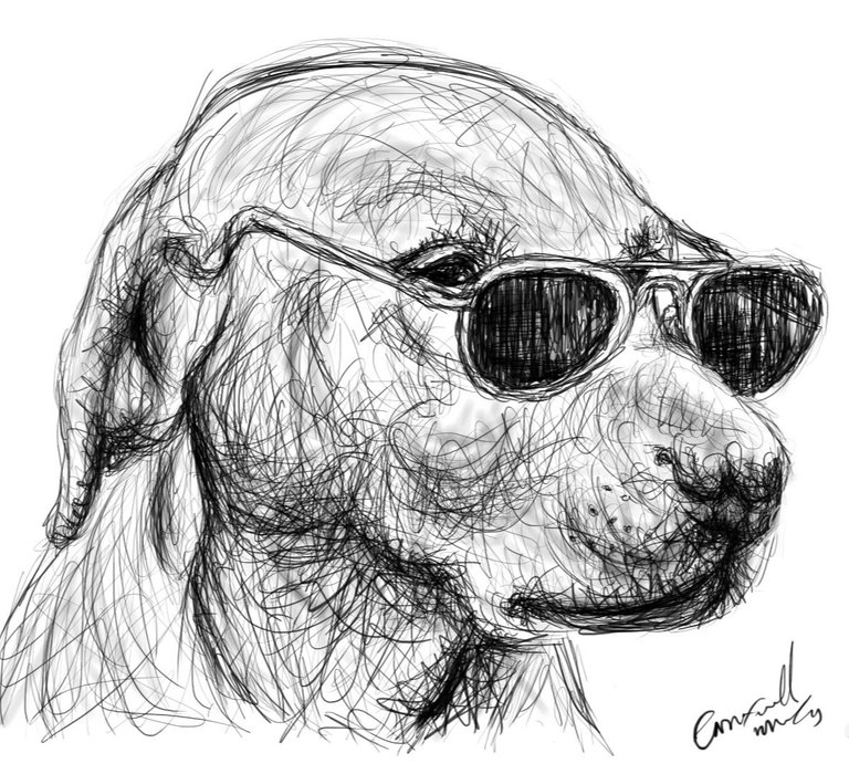 Screenshot_20230418-142043_Autodesk SketchBook.jpg