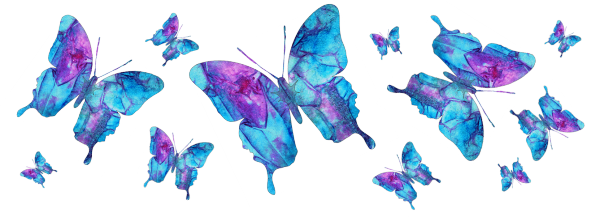 electricblueenhbutterflybanner.png