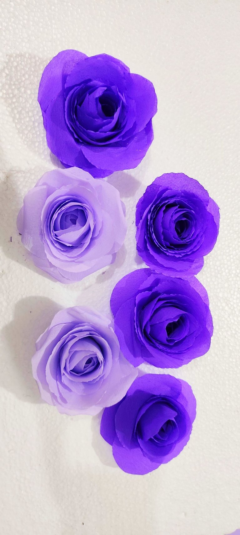 1000076976.jpg