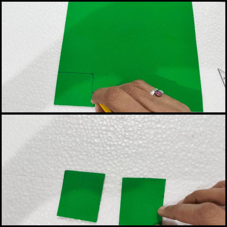 1000062792.jpg