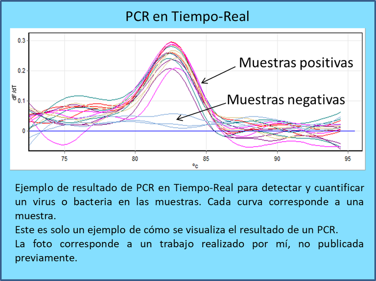 ES 01 fig PCR ESPAÑOL.png