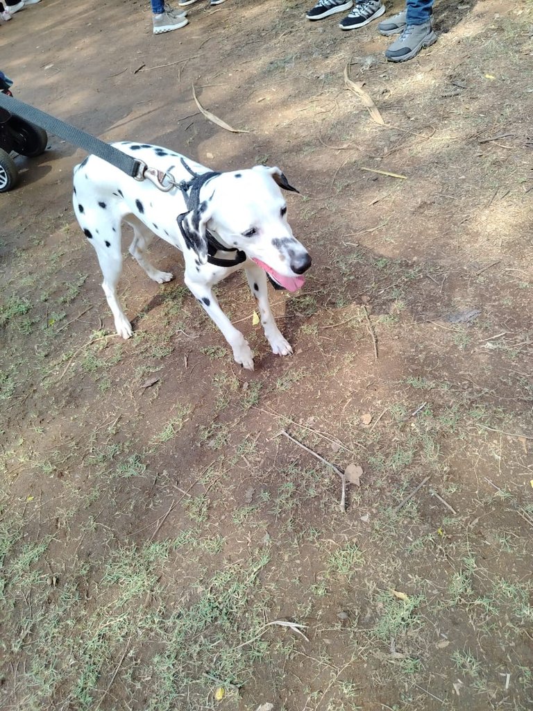 IMG-20250322-WA0187.jpg