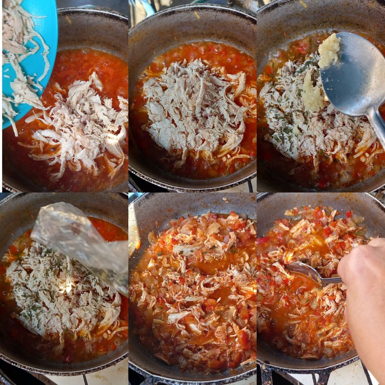 Live Collage_20242220223590.jpg