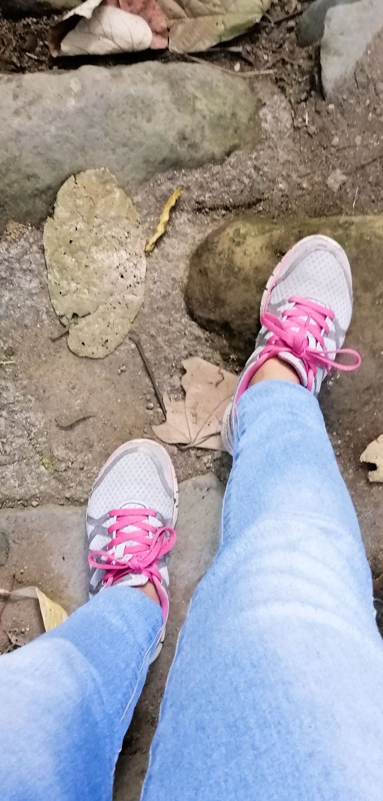 IMG_20190924_160419.jpg