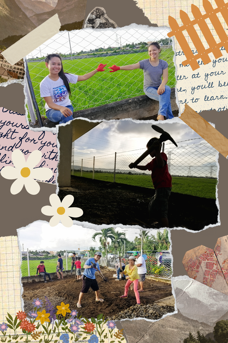 Cleaning The Garden This Beautiful Weekend: Putting On Our Gloves And Sorting The Stones 