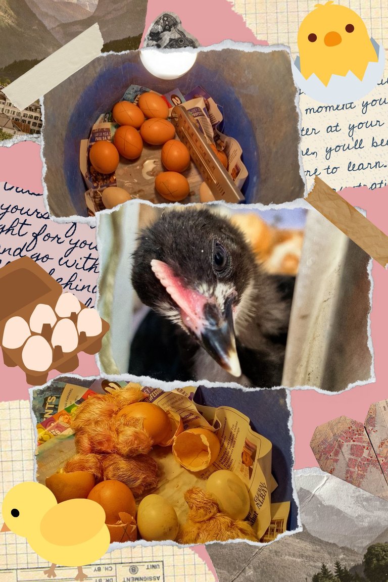 Cream and Brown Vintage Aesthetic Photo Collage_20250505_144701_0000.png