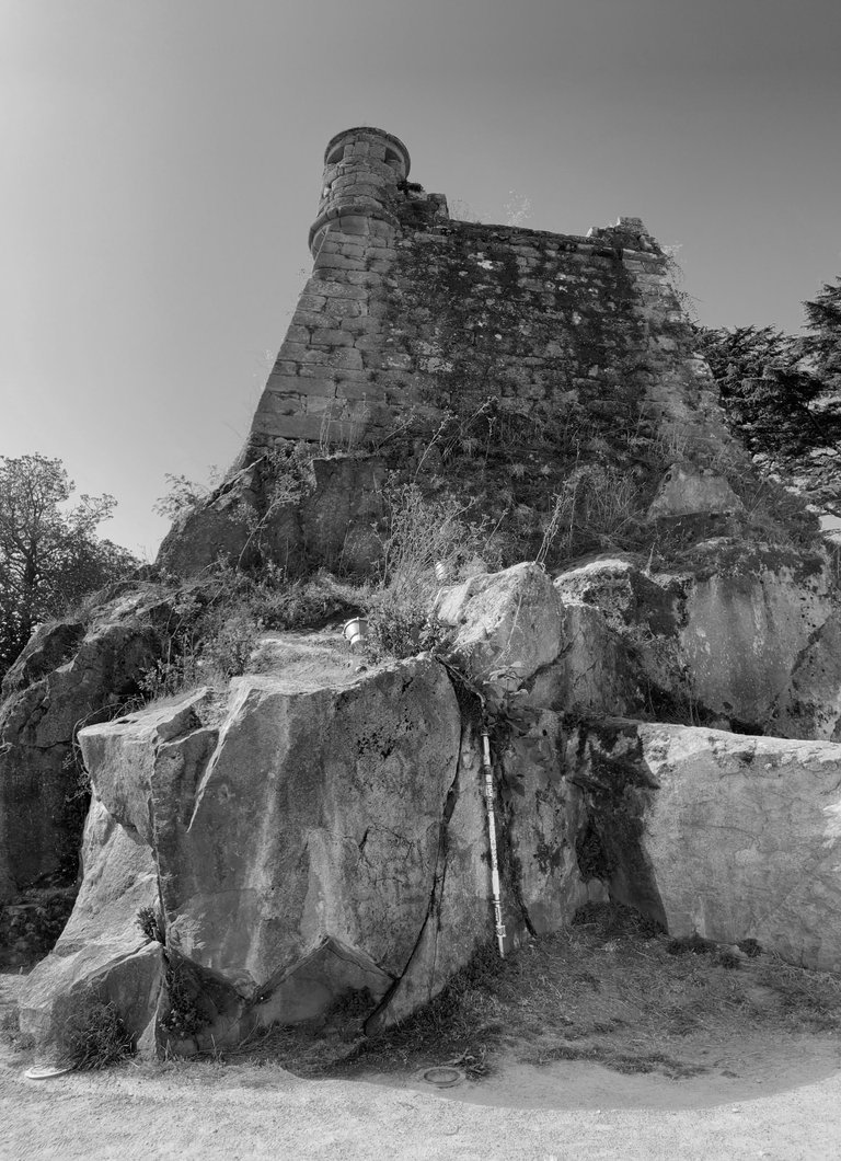 IMG_8674.jpg